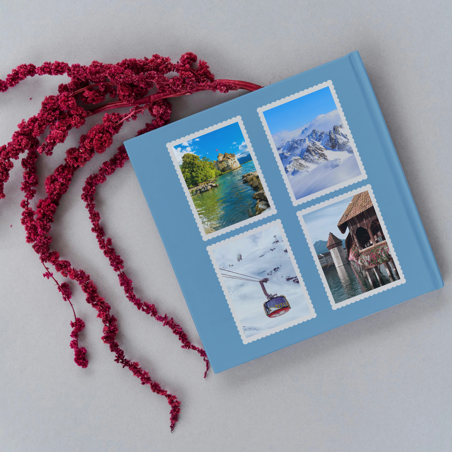 Switzerland Travel Book